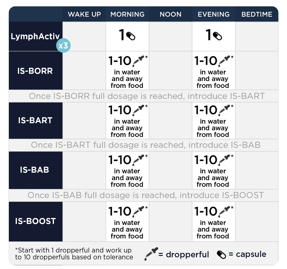 Fase 5 Comprensiva: Apoyo Inmunológico Más Profundo