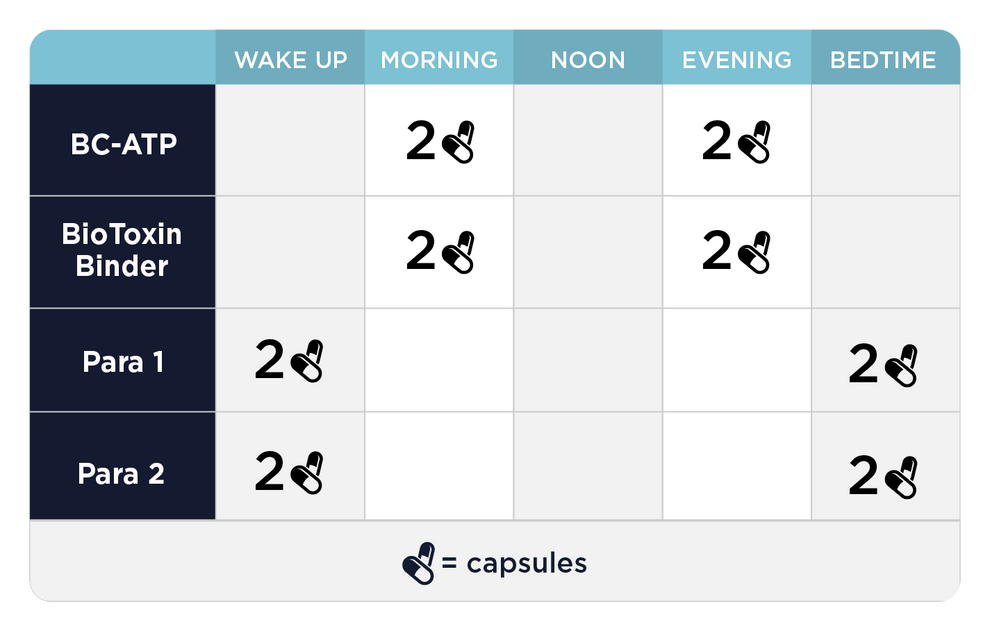 Paso 2 Fundamental: Apoyo Intestinal e Inmunológico