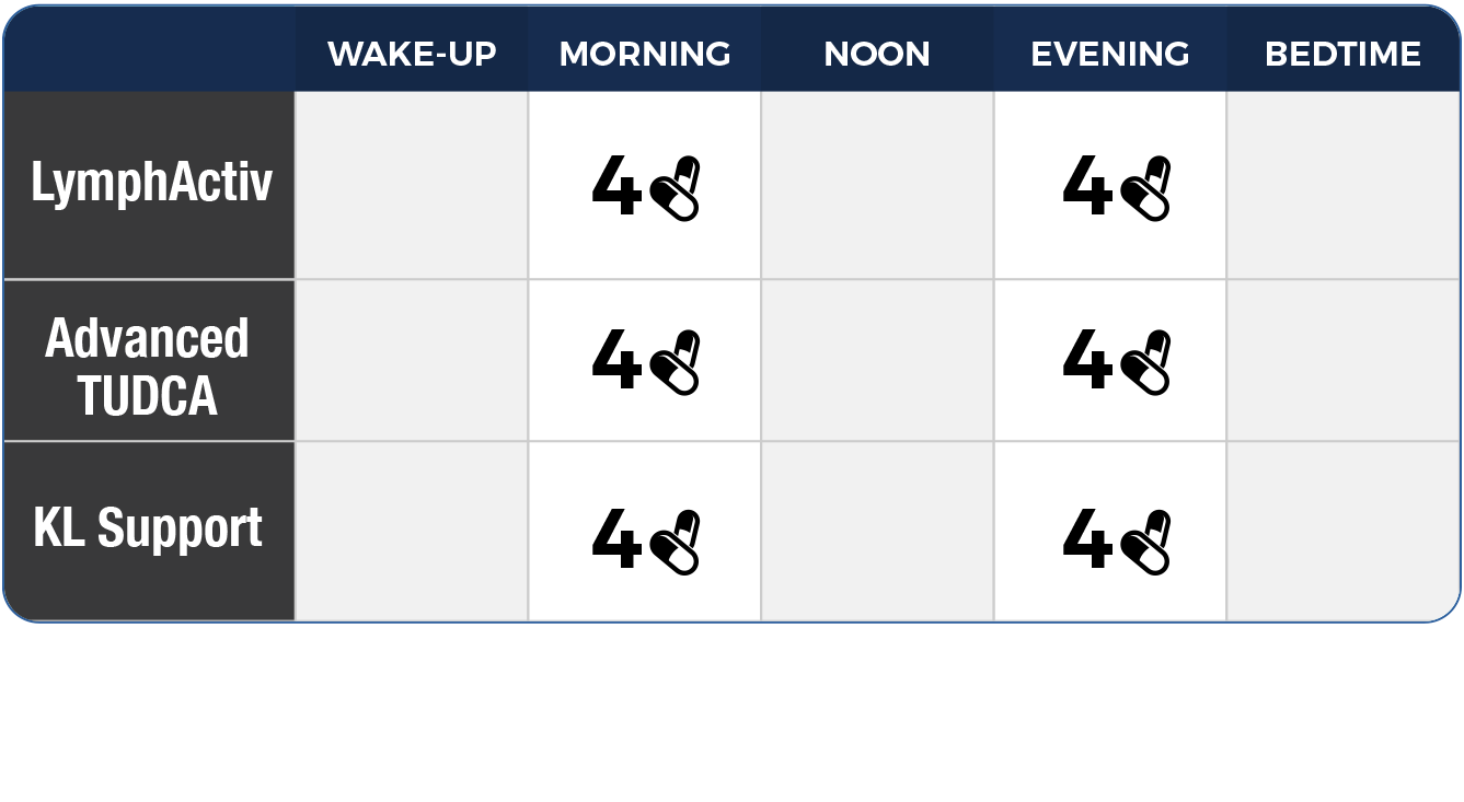 Liver Support Kit - Kit de Apoyo Hepático