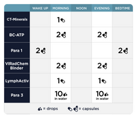 Fase 3 Comprensiva: Apoyo Inmunológico De Todo El Cuerpo