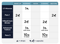Paso 3 Fundamental: Apoyo Inmunológico Para Todo El Cuerpo