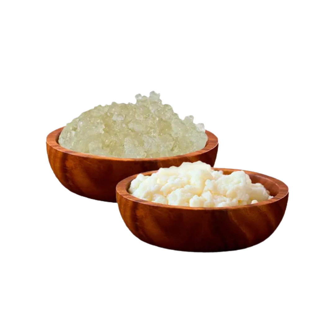 Envío y Envase para Búlgaros de Kéfir (Cultivo Gratuito)