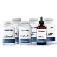 Fase 3 Comprensiva: Apoyo Inmunológico De Todo El Cuerpo