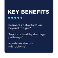 Fase 4A Comprensiva: Desintoxicación Sistémica
