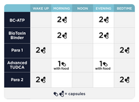 Fase 2 Comprensiva: Apoyo Intestinal e inmunológico