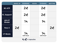Fase 4A Comprensiva: Desintoxicación Sistémica